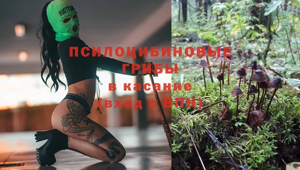 бутират Покачи