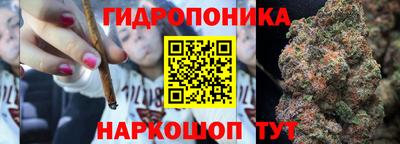 spice Абакан
