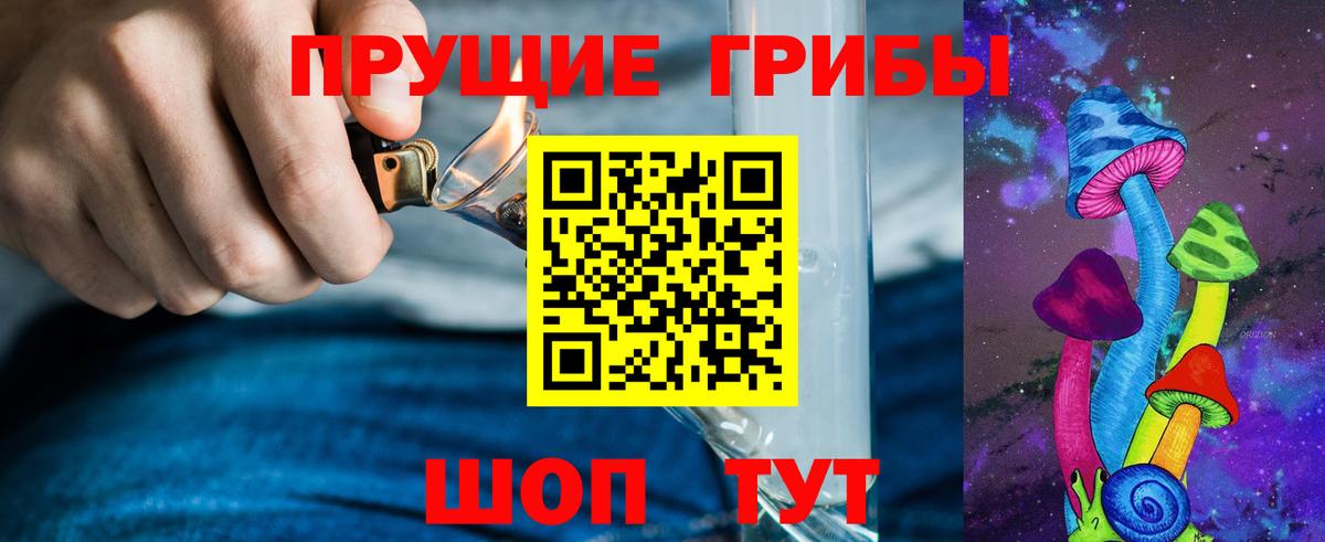 Галлюциногенные грибы прущие грибы  Асбест  Псилоцибиновые грибы Cubensis 